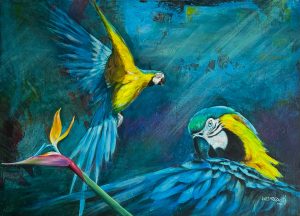 Aves